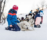 Mad Dogs Sport Aventure