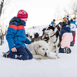 Mad Dogs Sport Aventure