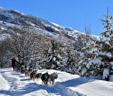 Mad Dogs Sport Aventure