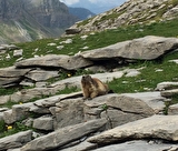 Randonnées au fil de la montagne