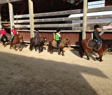 Stage poneys