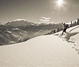 Balade en raquettes- Balades hors pistes entre alpages et forêts