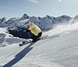 Ski sportif