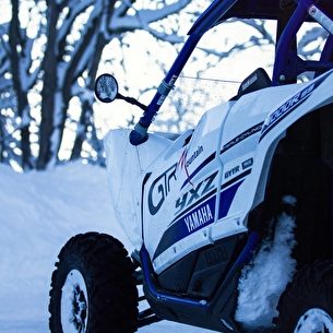 Buggy / SSV