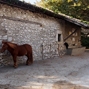 Balade d'initiation à cheval à Villard de Lans