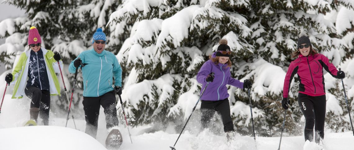 La raquette à neige : sélection et conseils pour bien démarrer - France  Montagnes - Site Officiel des Stations de Ski en France