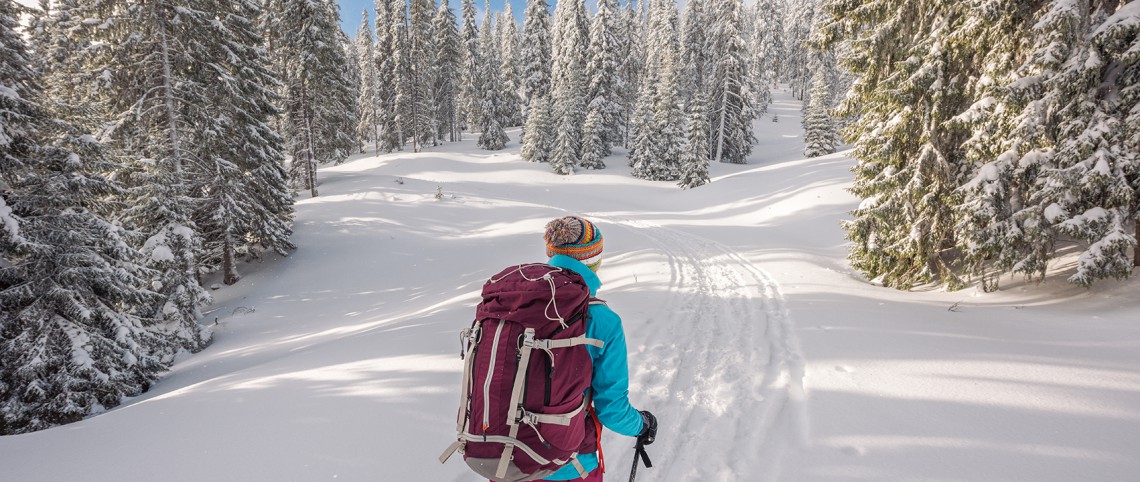 Ski de randonnée : nos réponses à toutes vos questions