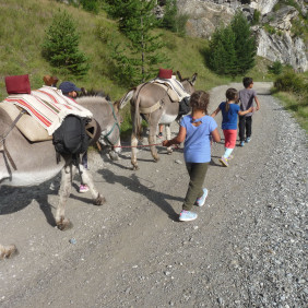 Découverte des ânes pour les enfants